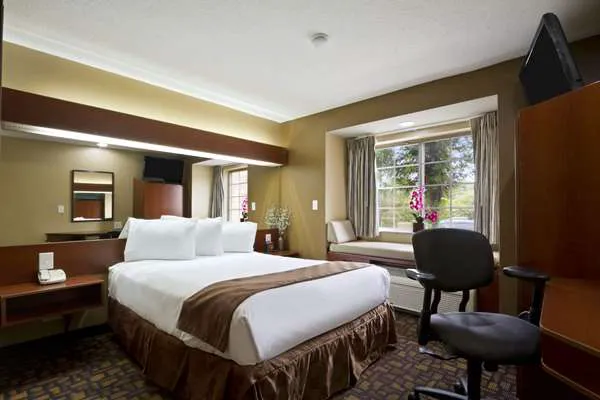 Microtel Inn & Suites by Wyndham Lithonia/Stone Mountain 4