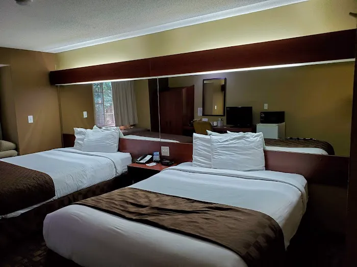 Microtel Inn & Suites by Wyndham Lithonia/Stone Mountain 4