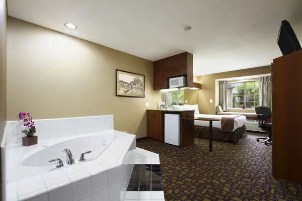 Microtel Inn & Suites by Wyndham Lithonia/Stone Mountain 4