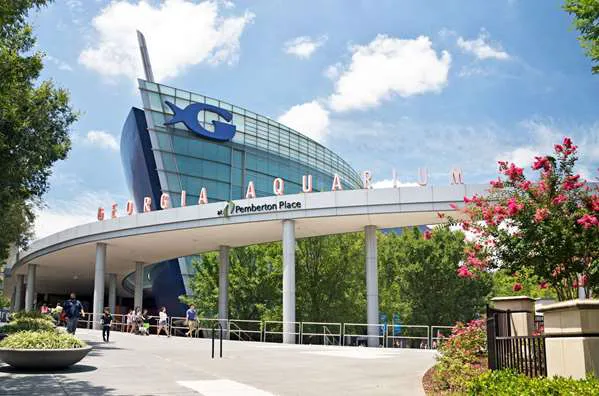 Super 8 by Wyndham Atlanta/Jonesboro Road 5