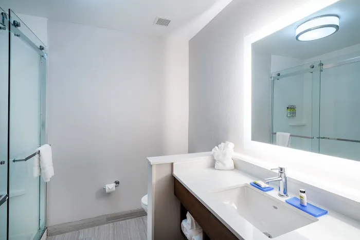 Holiday Inn Express & Suites Atlanta Airport NE - Hapeville, an IHG Hotel 4