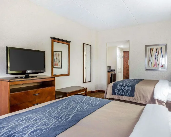 Comfort Inn Conyers 4