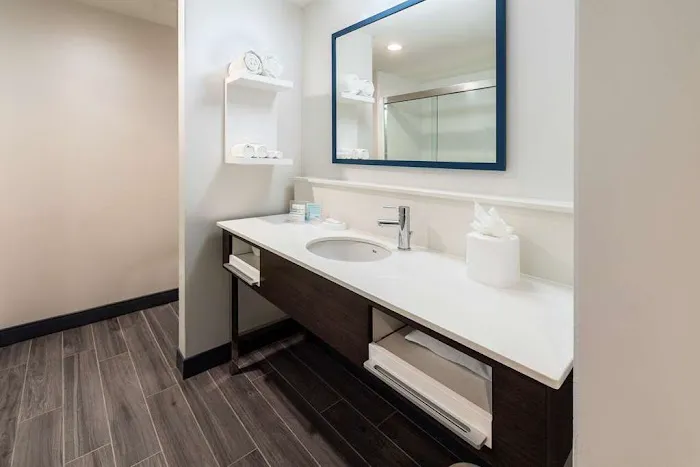 Hampton Inn & Suites Snellville Atlanta NE 4