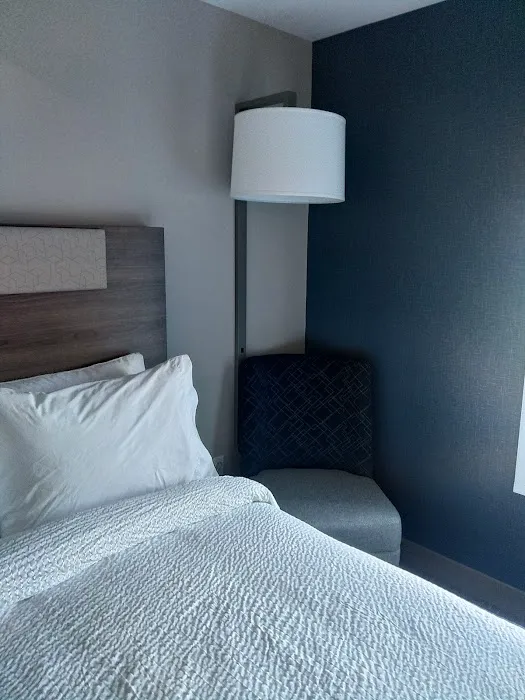 Holiday Inn Express & Suites Morrow Atlanta South, an IHG Hotel 4