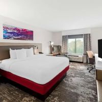 Hilton Garden Inn Atlanta Airport North ico