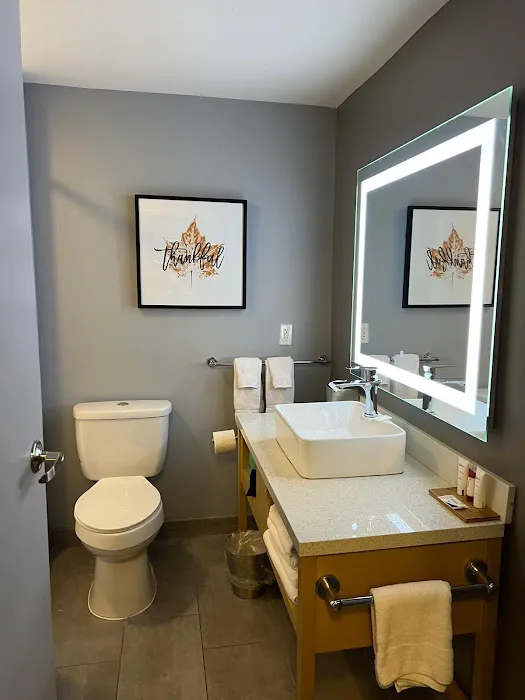 Hilton Garden Inn Atlanta Airport North 5