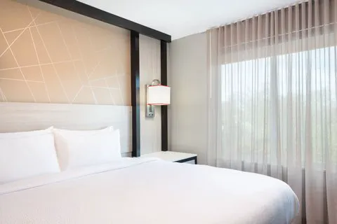 SpringHill Suites by Marriott Conyers 4