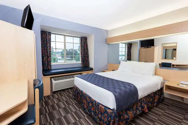 Microtel Inn & Suites by Wyndham Conyers Atlanta Area 4