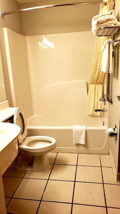 Microtel Inn & Suites by Wyndham Conyers Atlanta Area 4