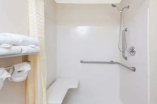 Microtel Inn & Suites by Wyndham Conyers Atlanta Area 4