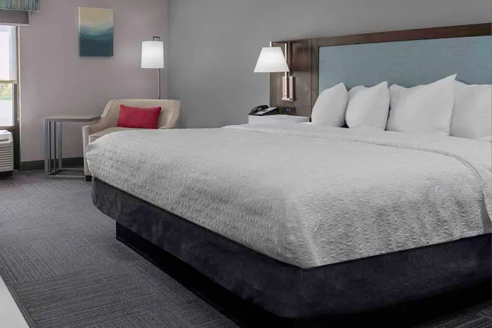 Hampton Inn Conyers 4