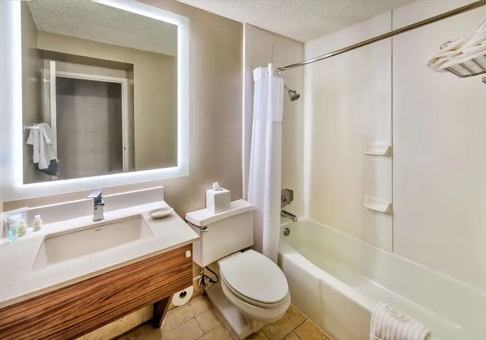 Clarion Hotel Atlanta Airport 4