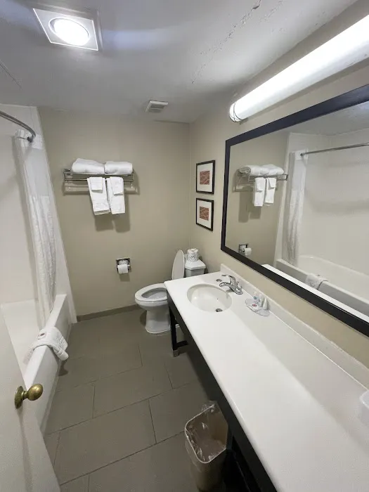 Comfort Inn Atlanta Downtown South 5