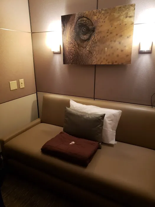 Minute Suites ATL - Concourse T 4