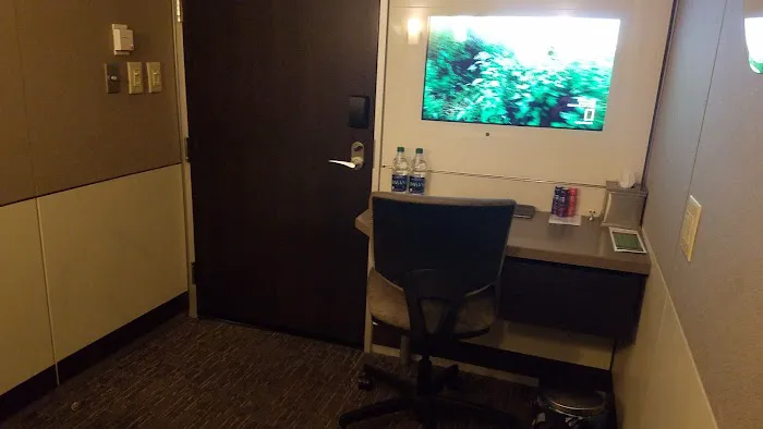 Minute Suites ATL - Concourse T 4