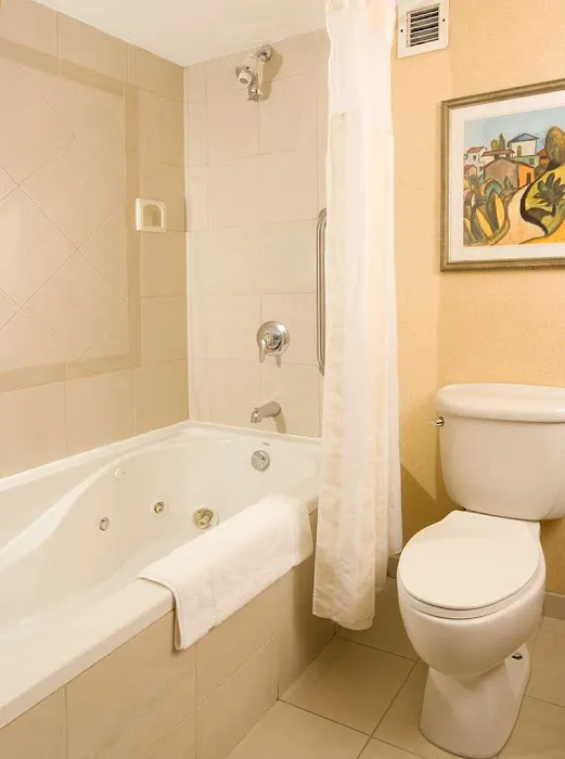 Hilton Garden Inn Atlanta Airport/Millenium Center 4