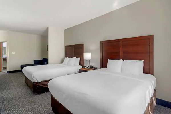 Comfort Suites Stockbridge Atlanta South 4