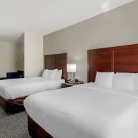Comfort Suites Stockbridge Atlanta South ico
