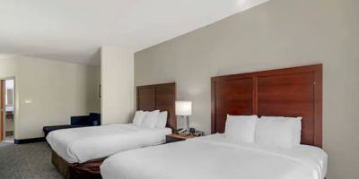 Comfort Suites Stockbridge Atlanta South