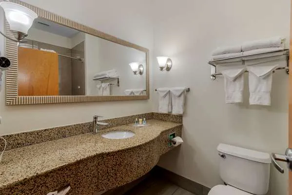 Comfort Suites Stockbridge Atlanta South 4