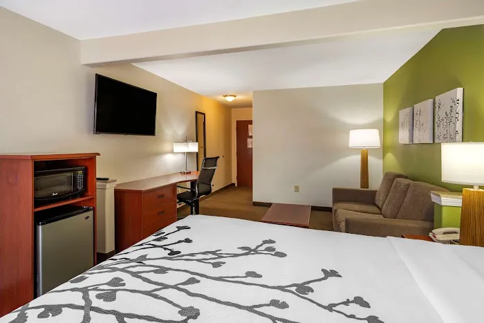 Sleep Inn & Suites Stockbridge Atlanta South 4