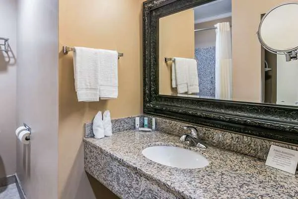 Quality Inn & Suites Atlanta Airport South 4