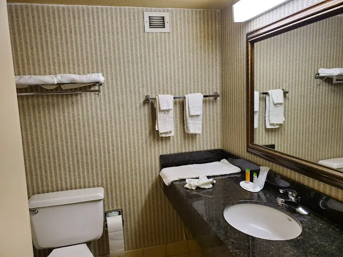 Ramada Plaza by Wyndham Atlanta Airport 4