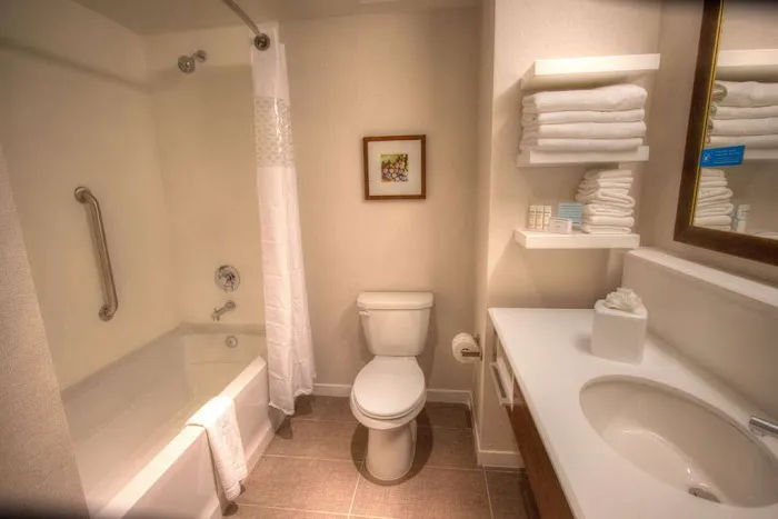 Hampton Inn & Suites Braselton 4