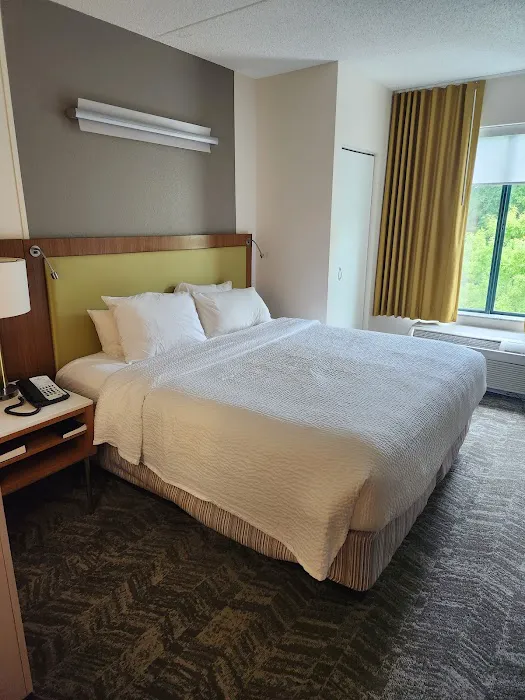 SpringHill Suites Athens West 4