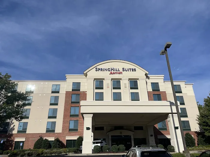 SpringHill Suites Athens West 4