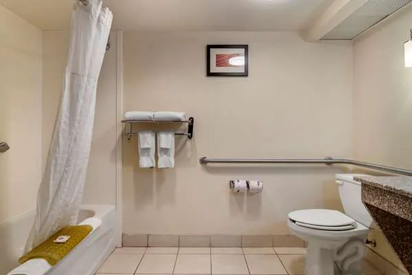 Comfort Inn & Suites 4