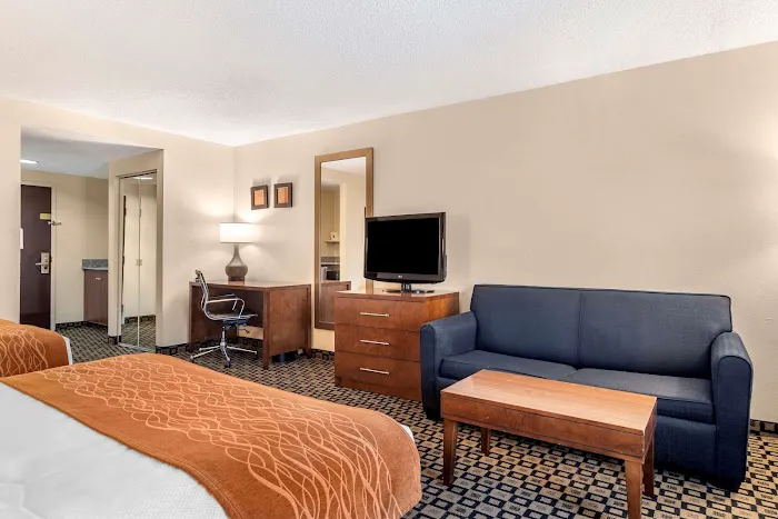 Comfort Inn & Suites 4