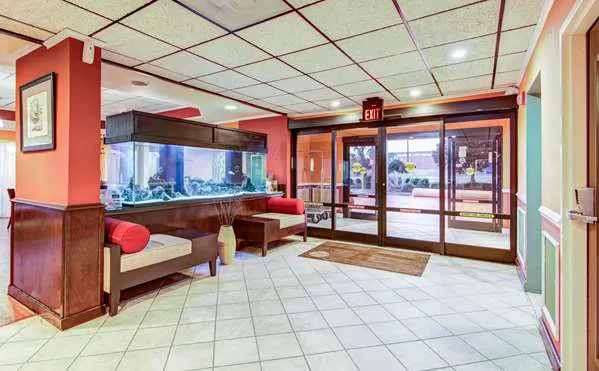 Comfort Inn & Suites 4