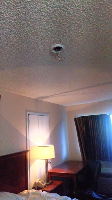 Inn Between The Hedges 4