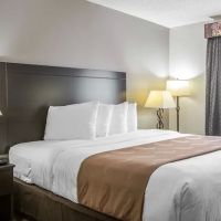 Quality Inn ico