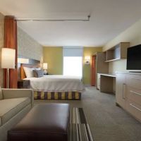 Home2 Suites by Hilton Atlanta South/McDonough ico