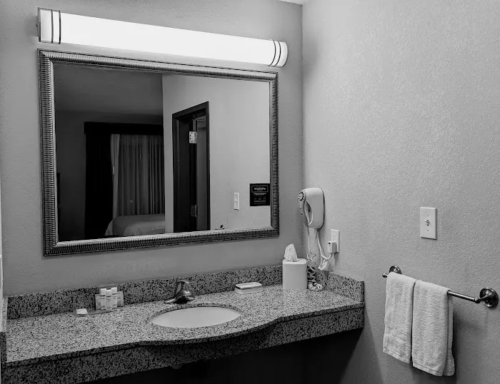 Hampton Inn & Suites Flowery Branch Lake Lanier 4