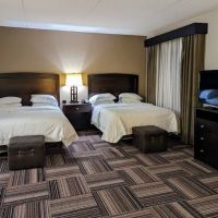 Hampton Inn & Suites Flowery Branch Lake Lanier ico