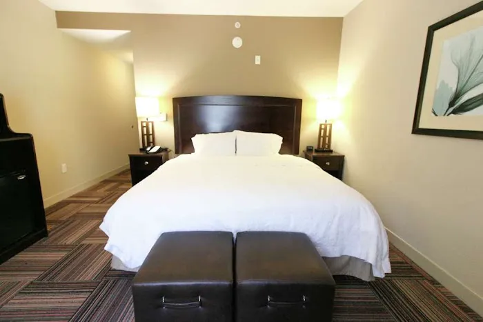 Hampton Inn & Suites Flowery Branch Lake Lanier 4