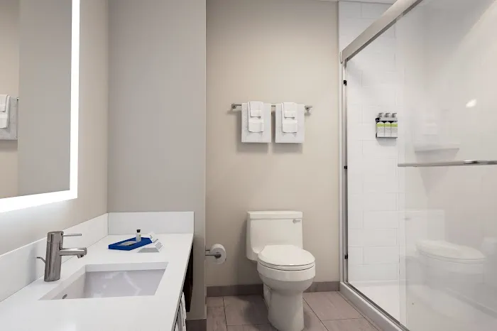 Holiday Inn Express & Suites Buford - Mall of Georgia by IHG 4