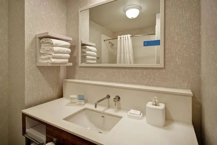 Hampton Inn Atlanta-Mall Of Georgia 4
