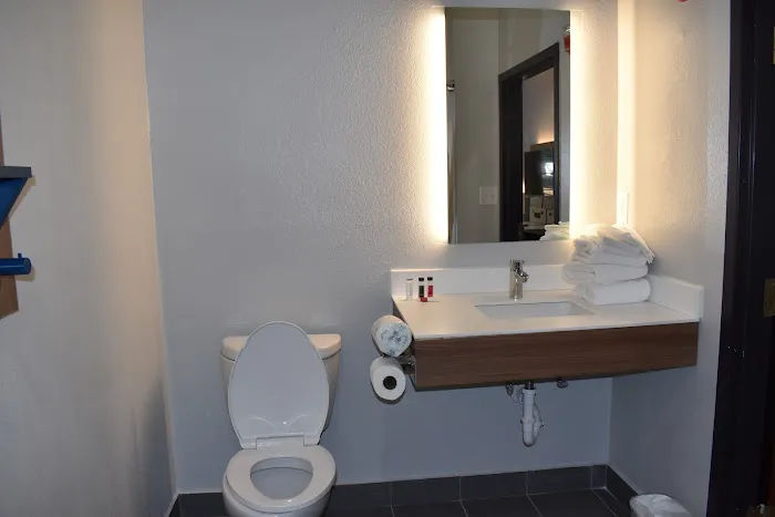 Microtel Inn & Suites by Wyndham Stockbridge/Atlanta I-75 4