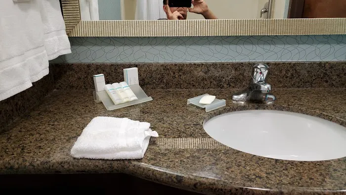 Hilton Garden Inn Atlanta South-McDonough 4