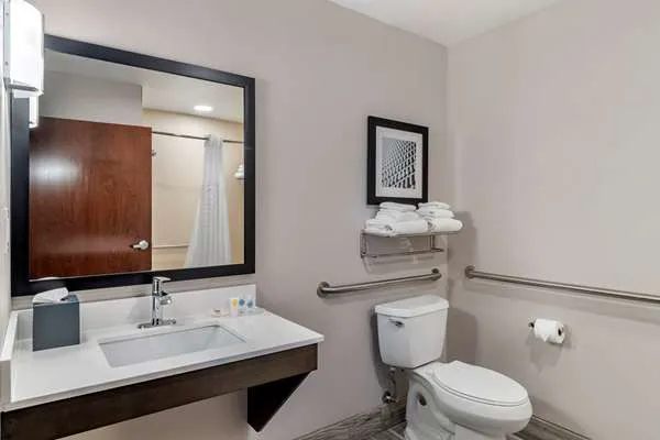Comfort Suites McDonough Atlanta South 3