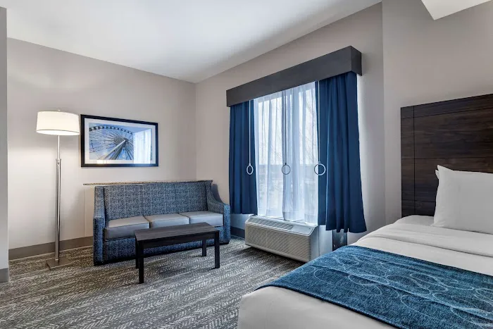 Comfort Suites McDonough Atlanta South 3