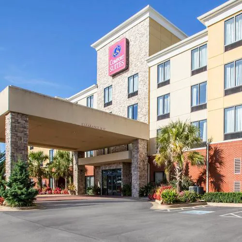 Comfort Suites McDonough Atlanta South 3