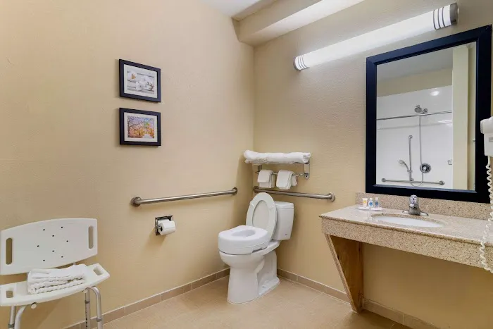 Comfort Inn & Suites 4