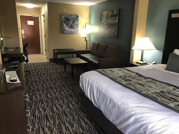 Best Western Plus McDonough Inn & Suites 4