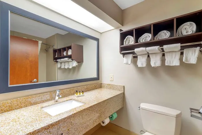 Best Western Plus McDonough Inn & Suites 4
