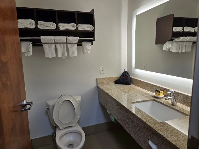 Best Western Plus McDonough Inn & Suites 4